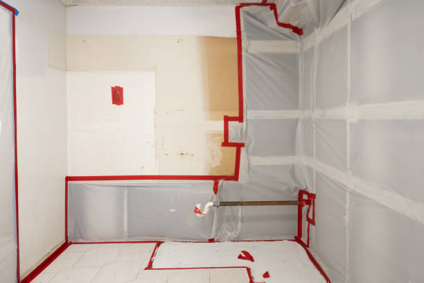 Best Attic Mold Removal  in USA